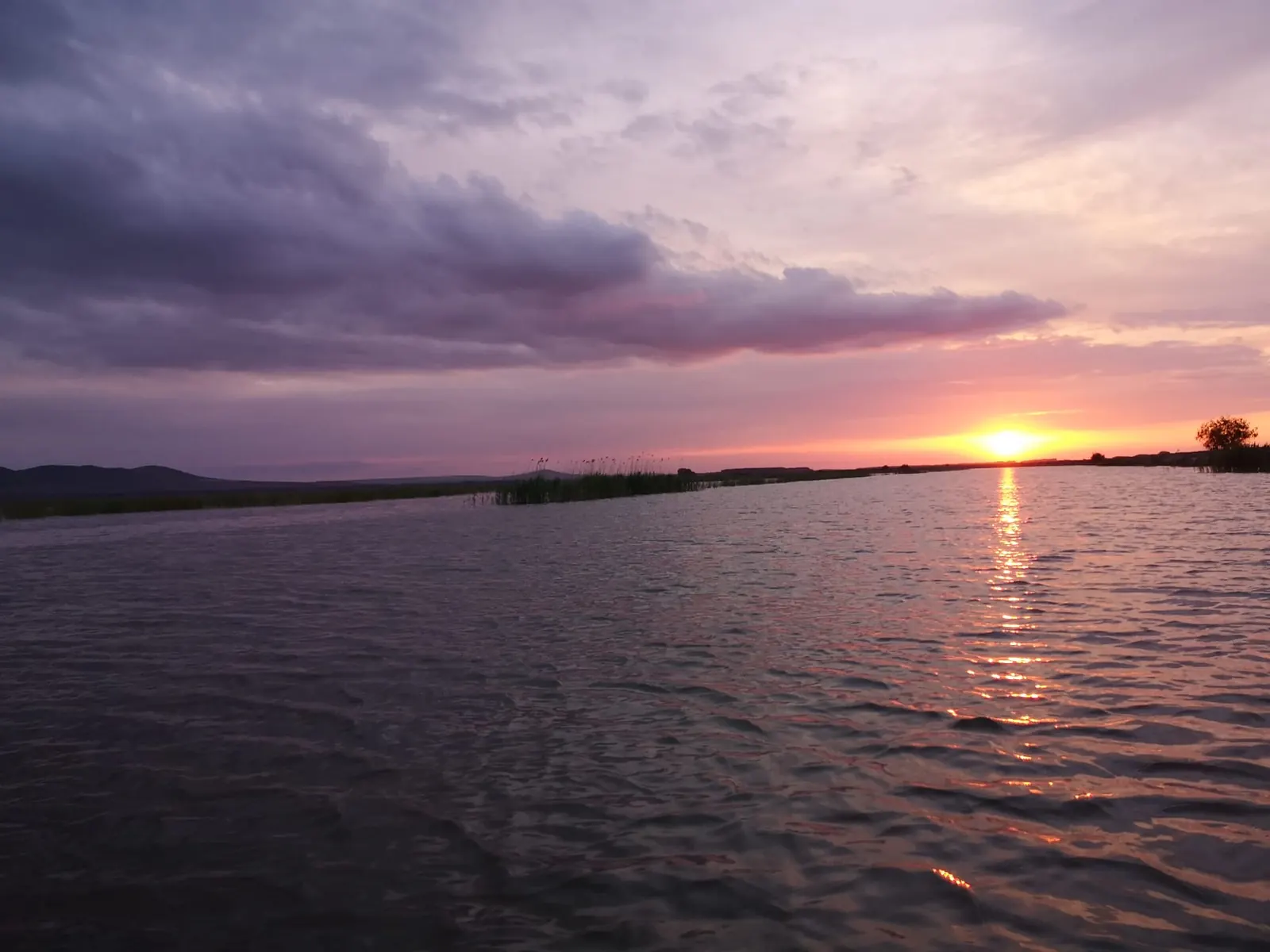 Apus peste stuful din Delta Dunării